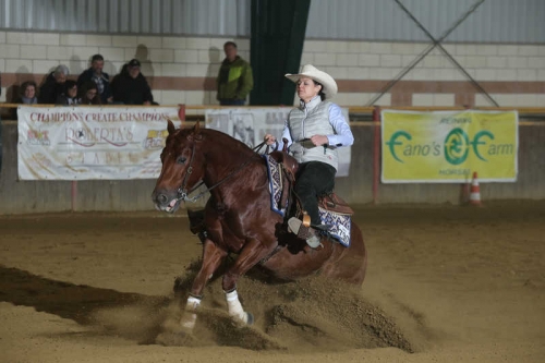 NRHA BACK TO THE FUTUR...ITY APCR 2019 - RIZZOLA CLAUDIA &amp; PEPPY KING SANBADGER score 69,5
