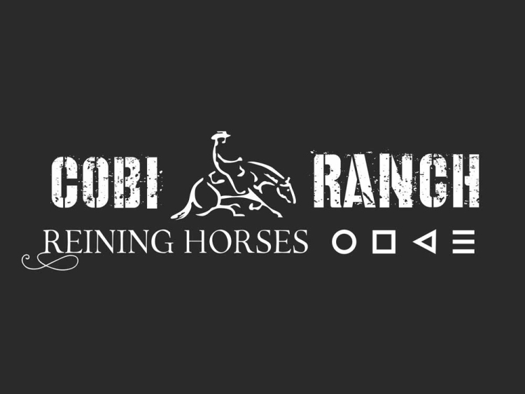Cobi Ranch reining horses