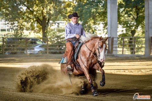 NRHA APCR SEPTEMBER REIN 2023 - PREVOSTI GIUSEPPE & GUNNABEAFOX owner AMBROSINI QUARTER HORSES ASP score 71,5