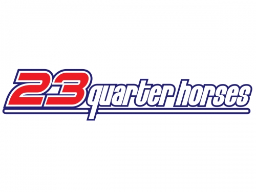 23 Quarter Horses
